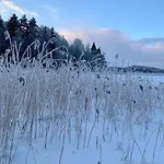 Blueberry At Saimaa Lakeside Taipalsaari