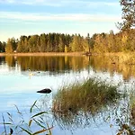 Blueberry At Saimaa Lakeside Taipalsaari