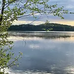 Blueberry At Saimaa Lakeside