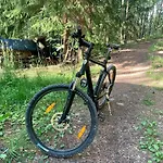 Blueberry At Saimaa Lakeside *