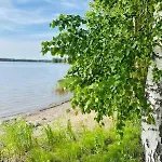 Blueberry At Saimaa Lakeside Taipalsaari