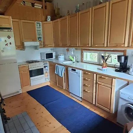 Blueberry At Saimaa Lakeside