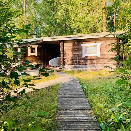Blueberry At Saimaa Lakeside *