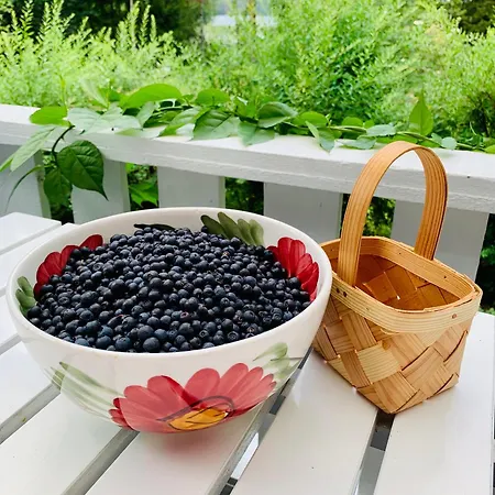 Vila Blueberry At Saimaa Lakeside