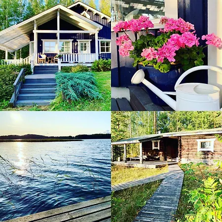 Blueberry At Saimaa Lakeside *