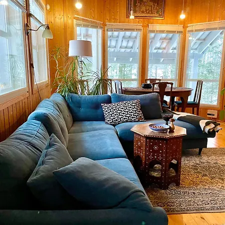 Blueberry At Saimaa Lakeside Taipalsaari