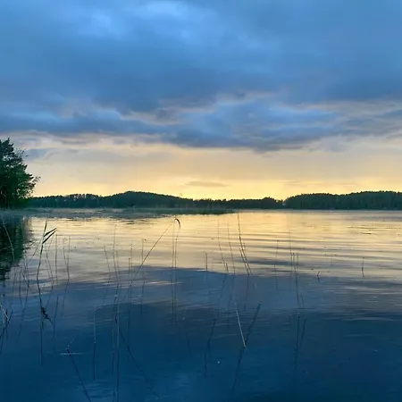 Blueberry At Saimaa Lakeside