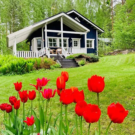 Blueberry At Saimaa Lakeside Taipalsaari