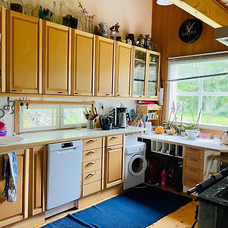 Blueberry At Saimaa Lakeside * Taipalsaari