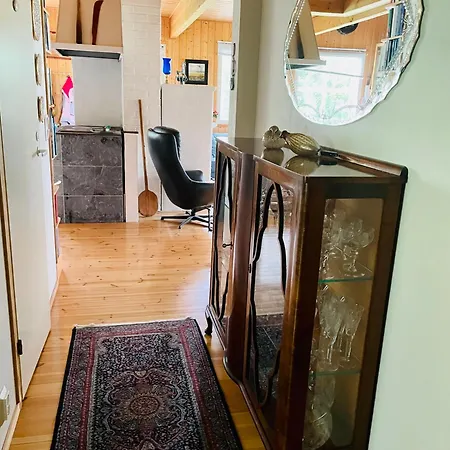 Blueberry At Saimaa Lakeside Taipalsaari