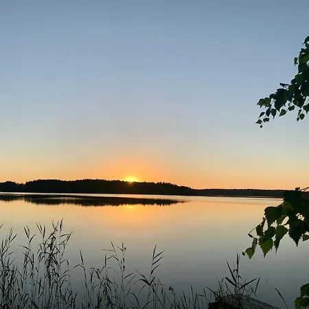 Blueberry At Saimaa Lakeside