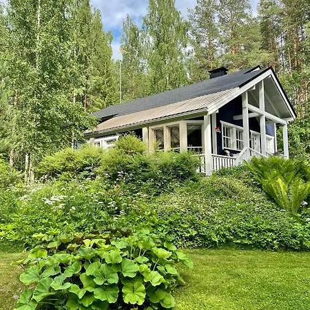 Blueberry At Saimaa Lakeside Taipalsaari