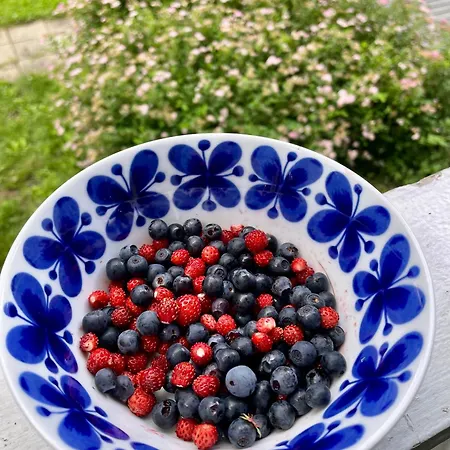 Blueberry At Saimaa Lakeside