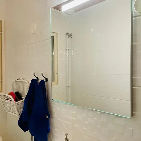 Blueberry At Saimaa Lakeside