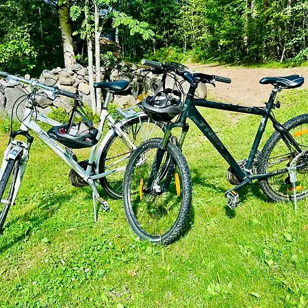 Blueberry At Saimaa Lakeside Villa Taipalsaari