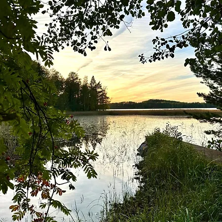 Blueberry At Saimaa Lakeside