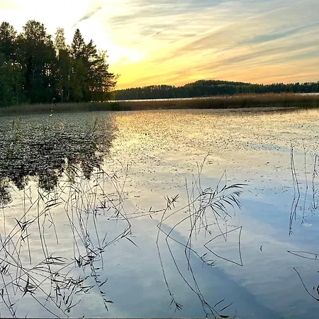 Blueberry At Saimaa Lakeside Villa Taipalsaari