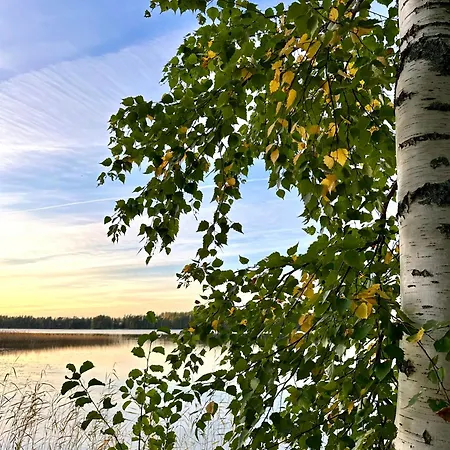 Villa Blueberry At Saimaa Lakeside Taipalsaari