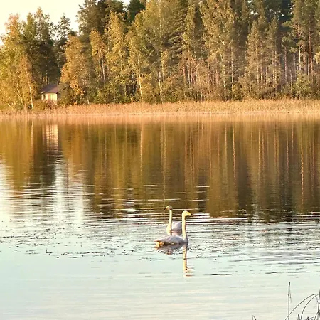 Blueberry At Saimaa Lakeside * Taipalsaari