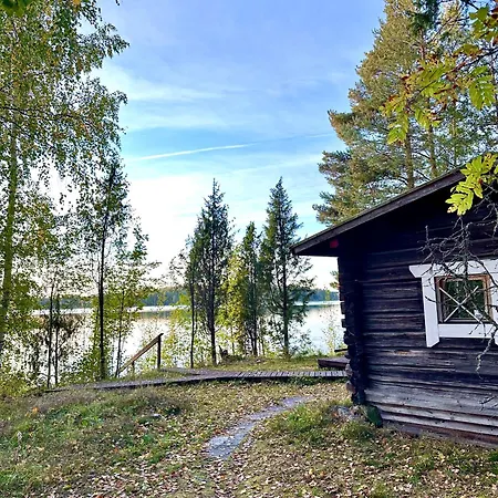 Blueberry At Saimaa Lakeside