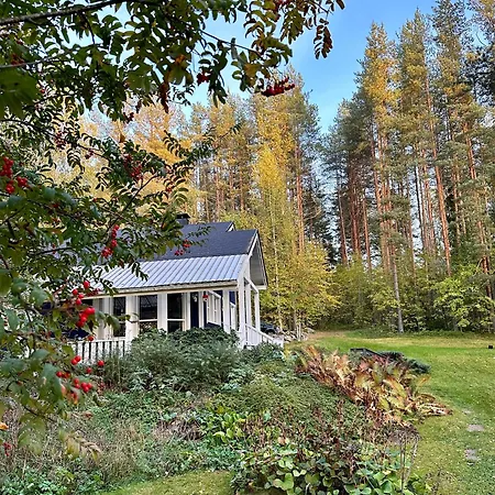 Vila Blueberry At Saimaa Lakeside *