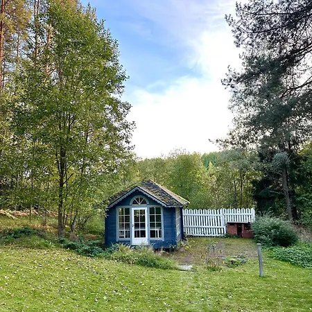 Blueberry At Saimaa Lakeside Vila Taipalsaari