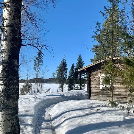 Blueberry At Saimaa Lakeside Vila Taipalsaari
