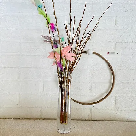 Blueberry At Saimaa Lakeside