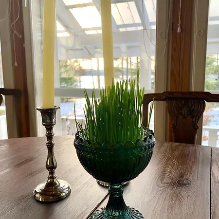 Blueberry At Saimaa Lakeside Villa