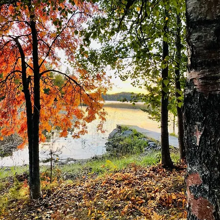 Blueberry At Saimaa Lakeside Villa Taipalsaari