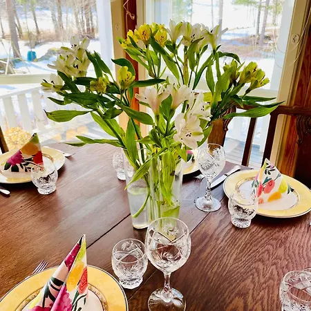 Blueberry At Saimaa Lakeside