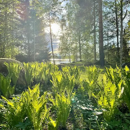 빌라 Blueberry At Saimaa Lakeside Taipalsaari