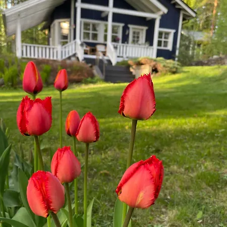 Villa Blueberry At Saimaa Lakeside *