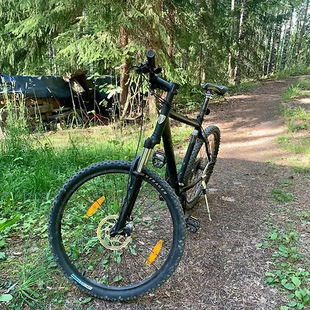 Blueberry At Saimaa Lakeside *