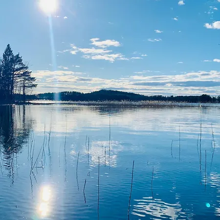 Blueberry At Saimaa Lakeside Taipalsaari