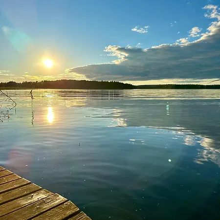 Blueberry At Saimaa Lakeside