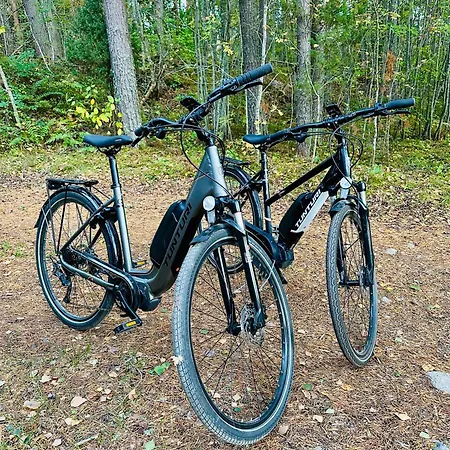 Blueberry At Saimaa Lakeside Villa Taipalsaari