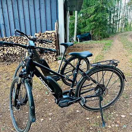 Blueberry At Saimaa Lakeside Taipalsaari