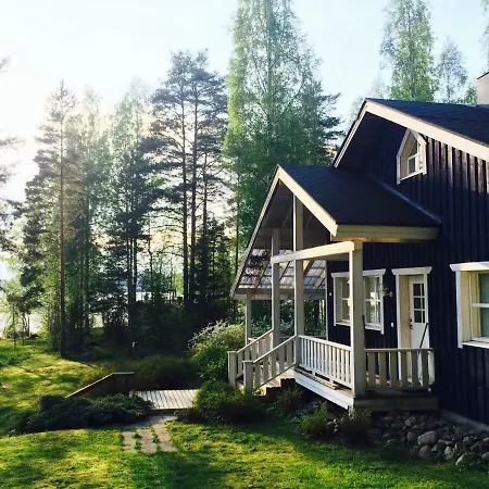 Blueberry At Saimaa Lakeside *