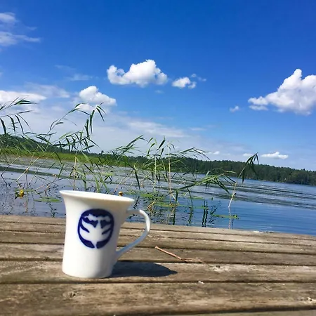 Blueberry At Saimaa Lakeside Taipalsaari