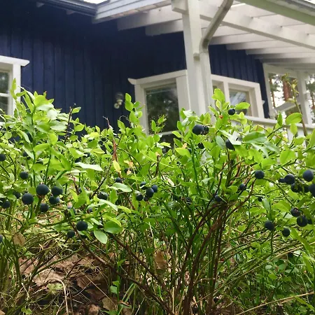 Blueberry At Saimaa Lakeside 빌라 Taipalsaari