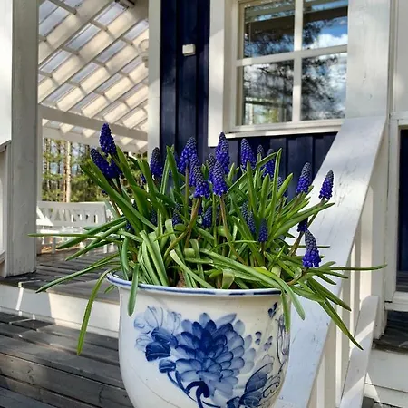 Villa Blueberry At Saimaa Lakeside *