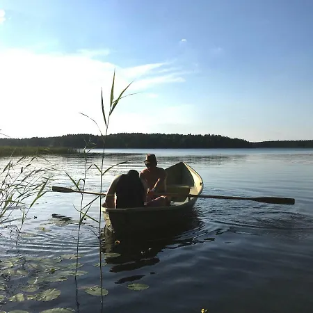 Blueberry At Saimaa Lakeside *