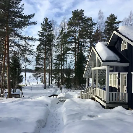 Blueberry At Saimaa Lakeside * Taipalsaari