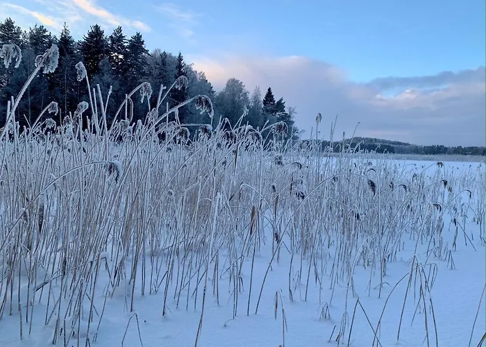 Blueberry At Saimaa Lakeside Тайпалсаари