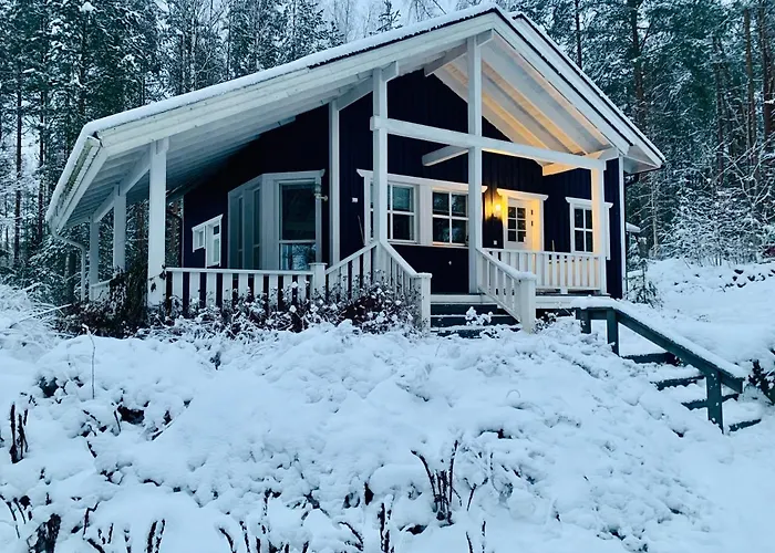 Blueberry At Saimaa Lakeside Тайпалсаари