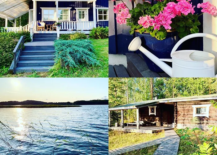 Blueberry At Saimaa Lakeside *