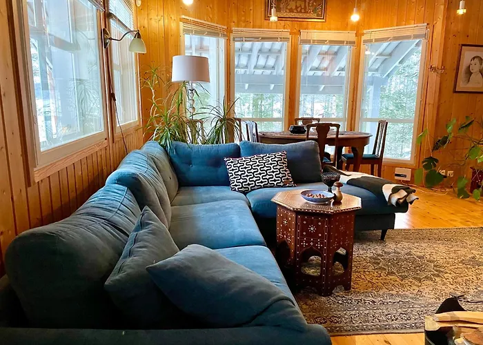 Blueberry At Saimaa Lakeside Тайпалсаари