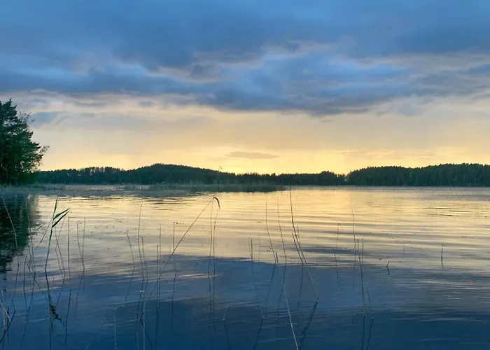 Blueberry At Saimaa Lakeside