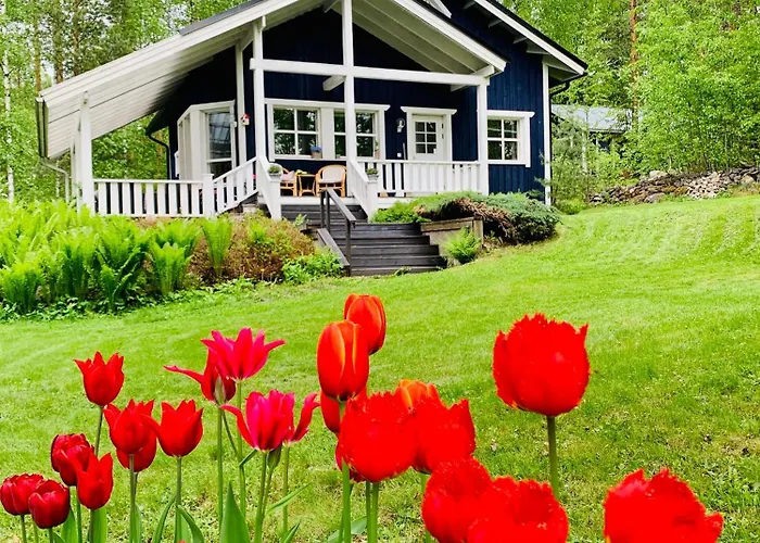 Blueberry At Saimaa Lakeside Taipalsaari